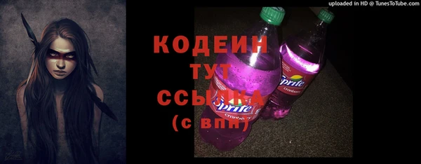 гашик Бородино