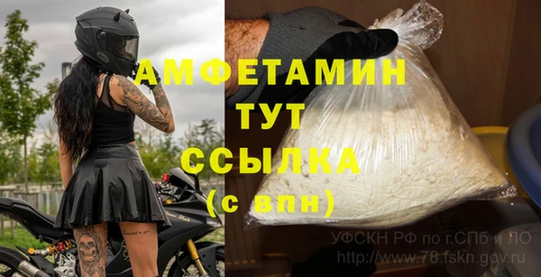 гашик Бородино