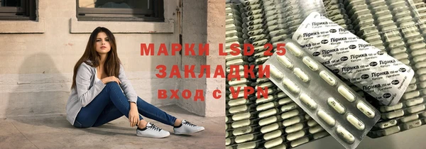гашик Бородино