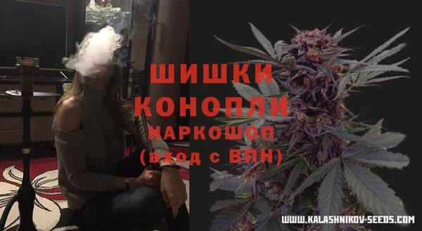 гашик Бородино